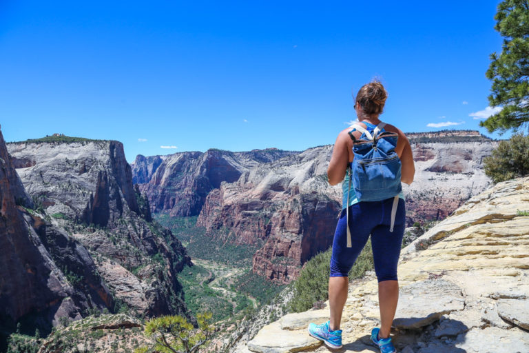 Want the Best View in Zion National Park? Try Observation Point ...
